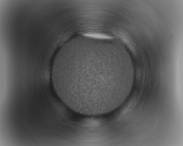 X0000092080545200709262106