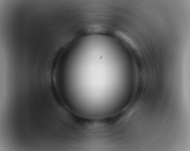 X0000092080546200709262106