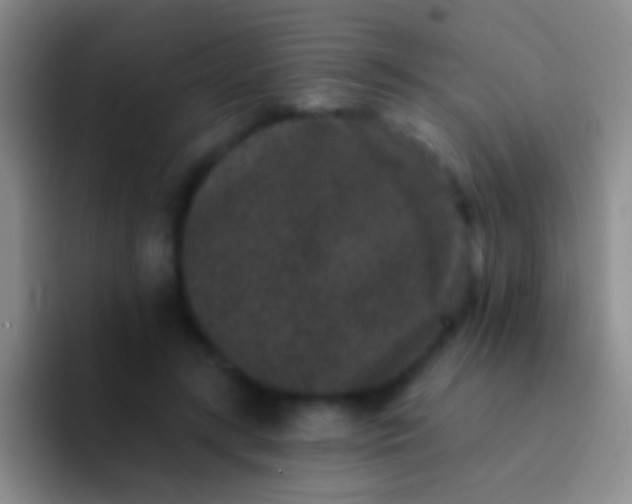 X0000092080547200709262106