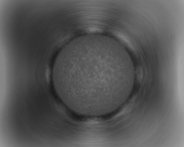 X0000092080550200709262106