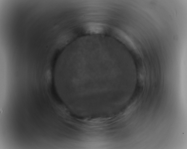 X0000092080551200709262106