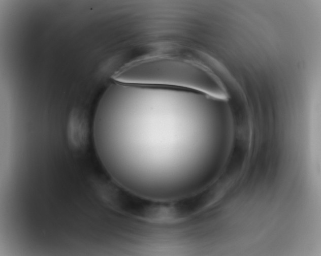 X0000092080552200709262106