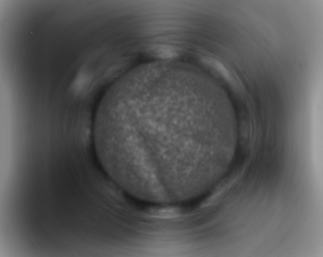 X0000092080553200709262106