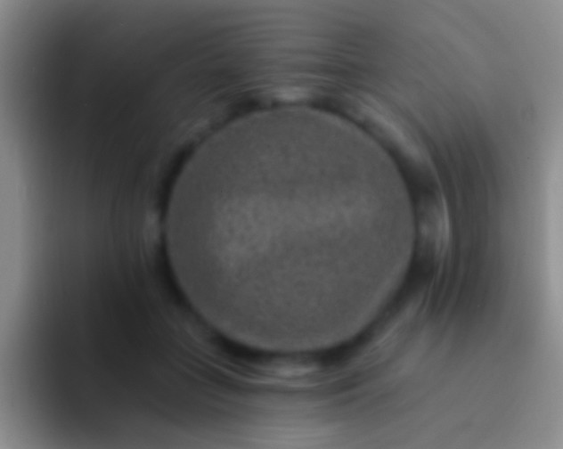 X0000092080555200709262106