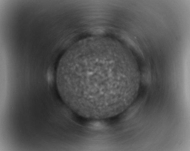 X0000092080561200709262106