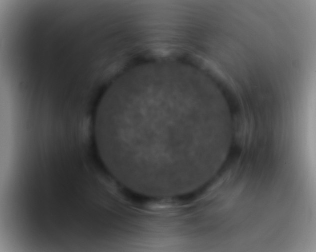 X0000092080563200709262106