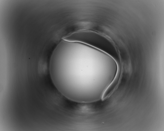 X0000092080564200709262106