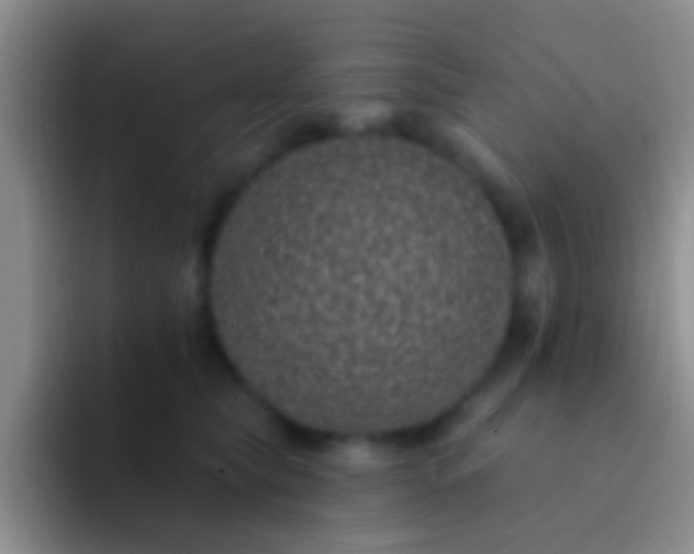 X0000092080565200709262106