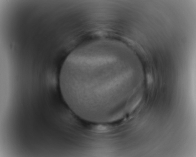 X0000092080566200709262106