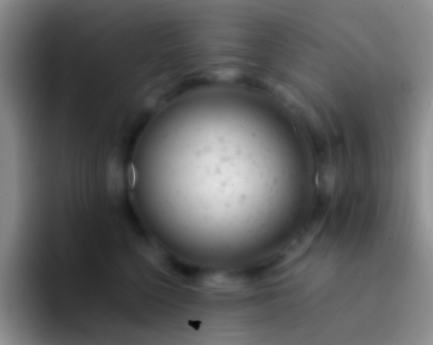 X0000092080568200709262106