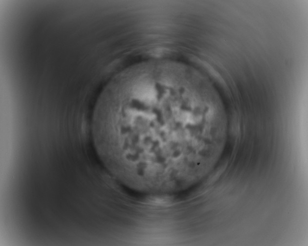 X0000092080569200709262106