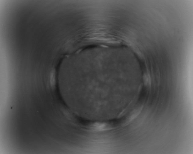 X0000092080570200709262106