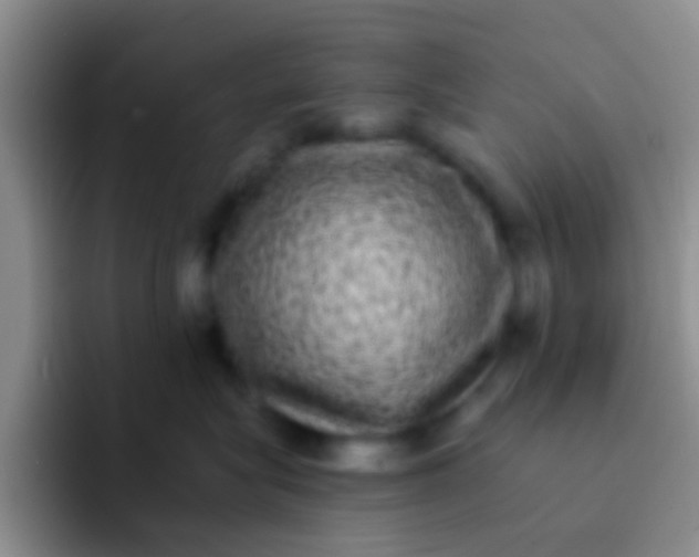 X0000092080575200709262106