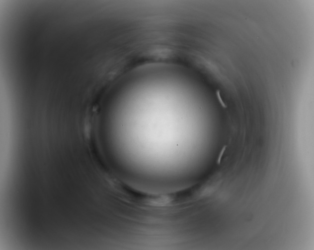 X0000092080576200709262106