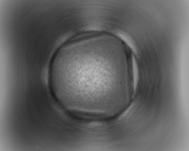 X0000092080578200709262106