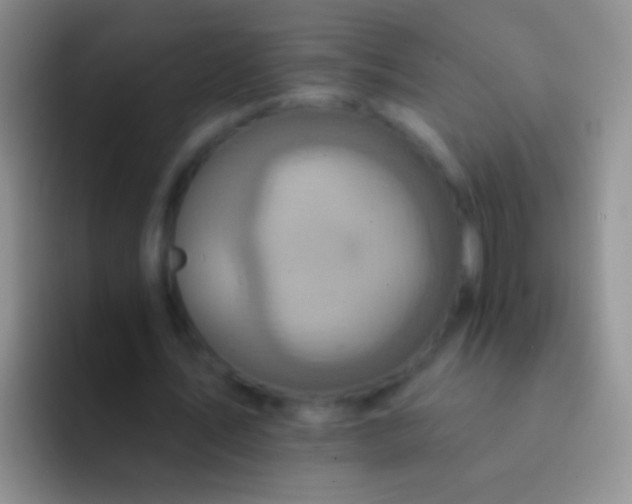 X0000092080579200709262106