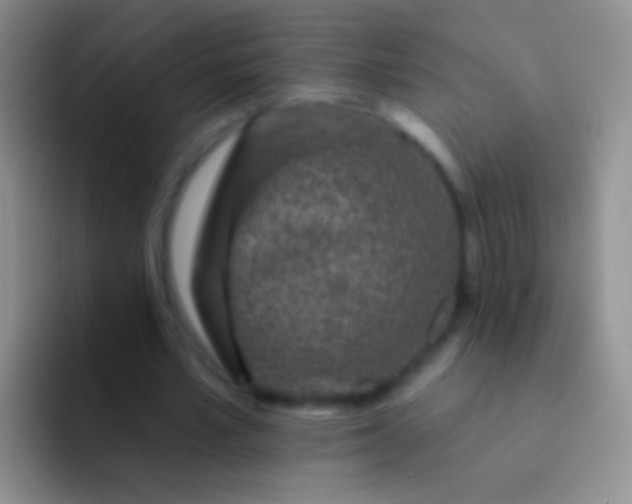 X0000092080581200709262106