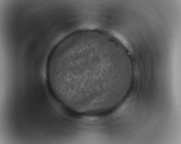 X0000092080582200709262106