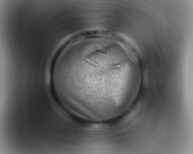 X0000092080584200709262106