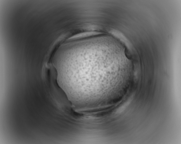 X0000092080585200709262106