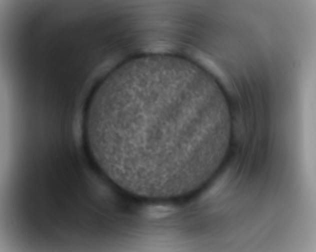 X0000092080586200709262106