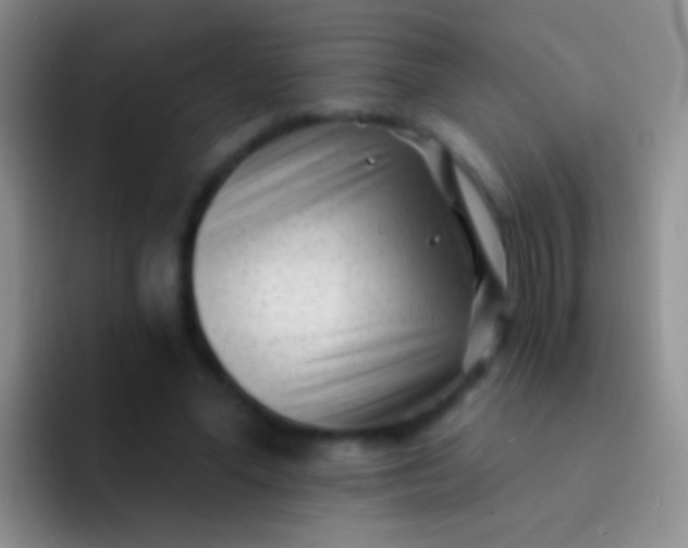 X0000092080588200709262106