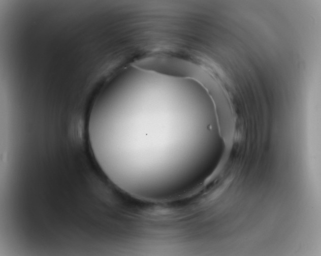 X0000092080589200709262106