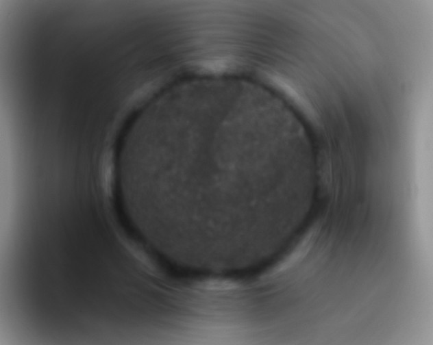 X0000092080590200709262106