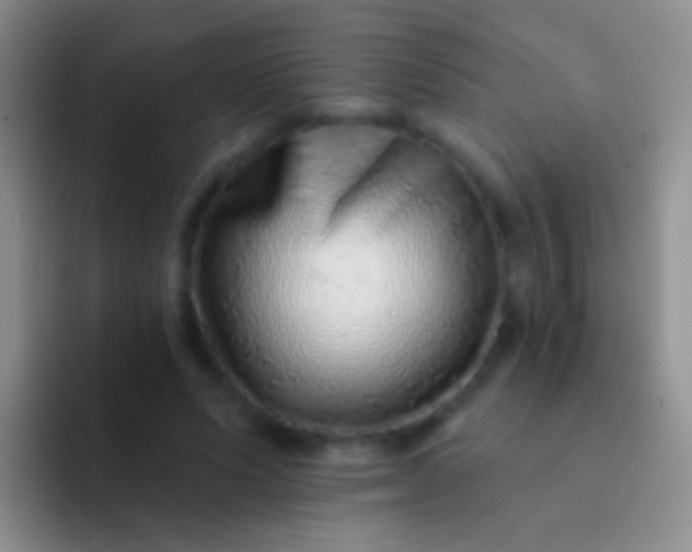 X0000092080591200709262106