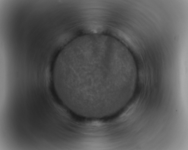 X0000092080594200709262105