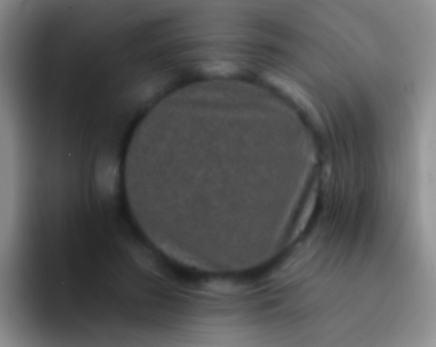 X0000092080596200709262105