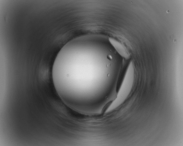 X0000092080597200709262105