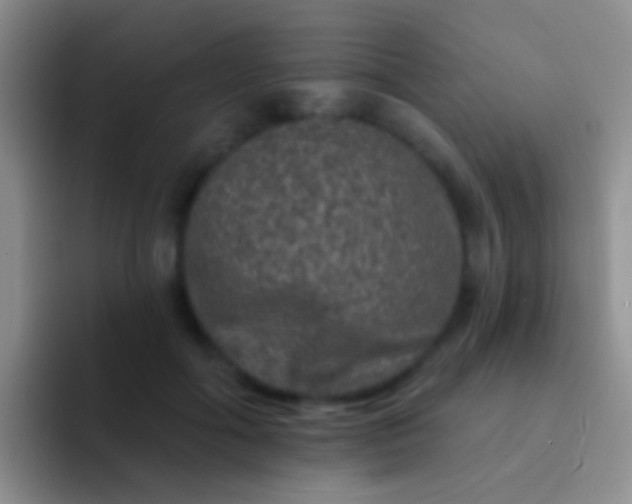 X0000092080602200709262105