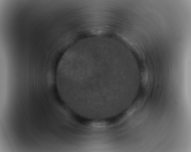 X0000092080606200709262105