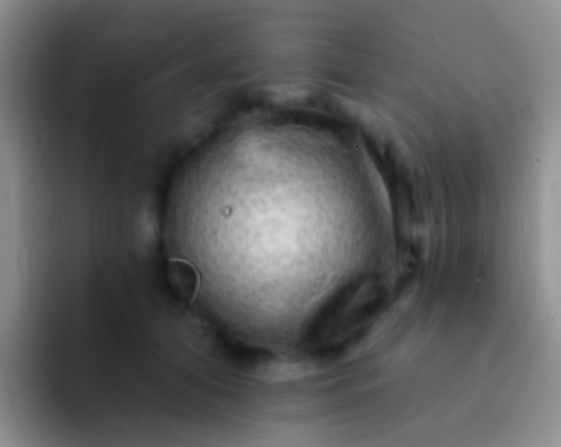 X0000092080608200709262105