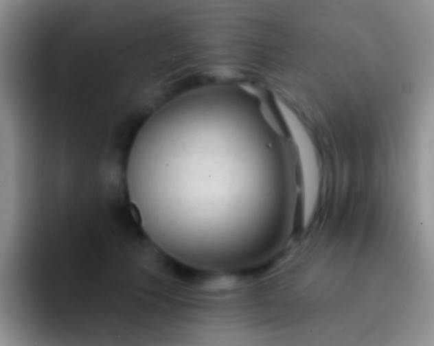 X0000092080609200709262105