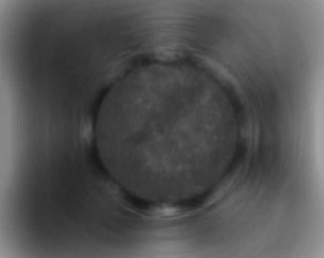 X0000092080610200709262105