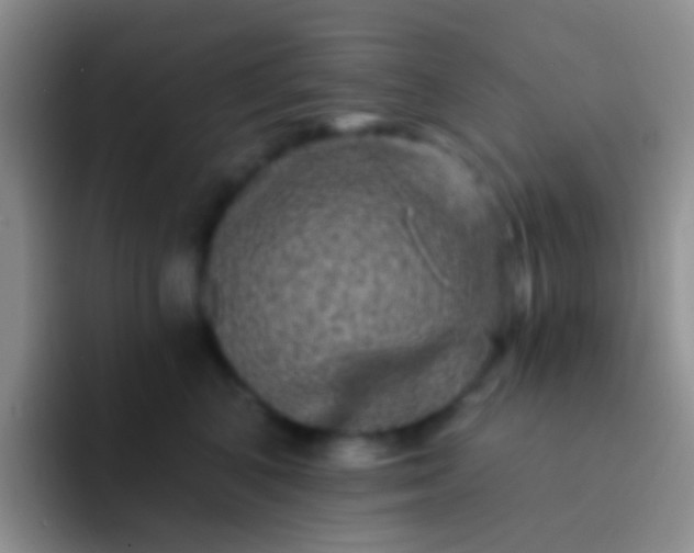 X0000092080616200709262105