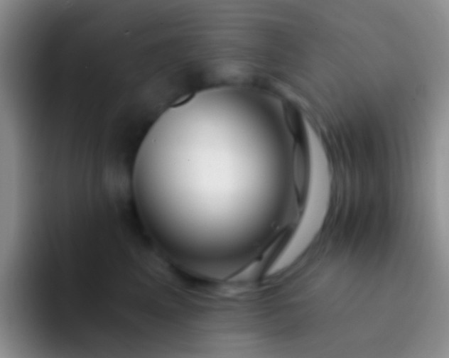 X0000092080617200709262105