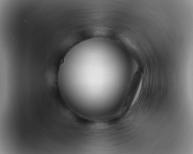 X0000092080619200709262105