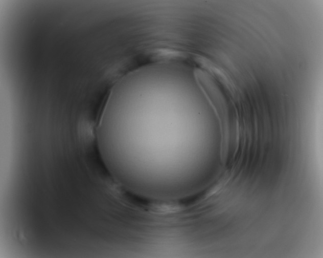 X0000092080621200709262105