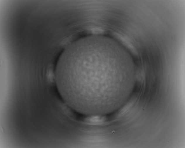 X0000092080622200709262105