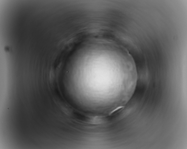 X0000092080623200709262105