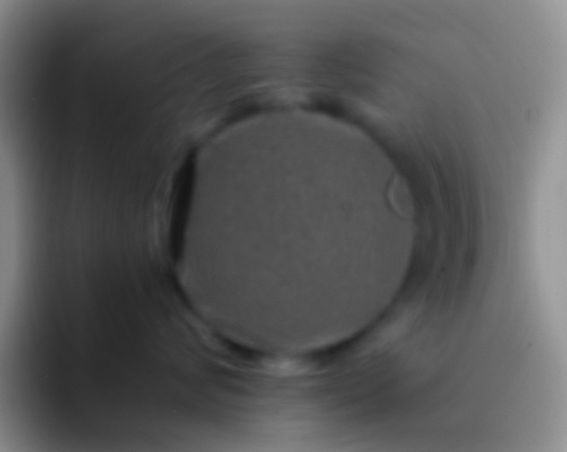 X0000092080624200709262105