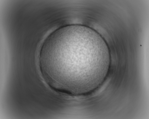 X0000092080625200709262105