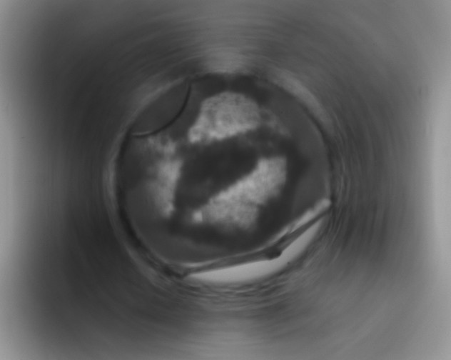 X0000092080626200709262105