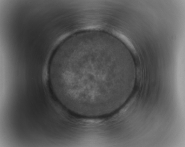 X0000092080628200709262105