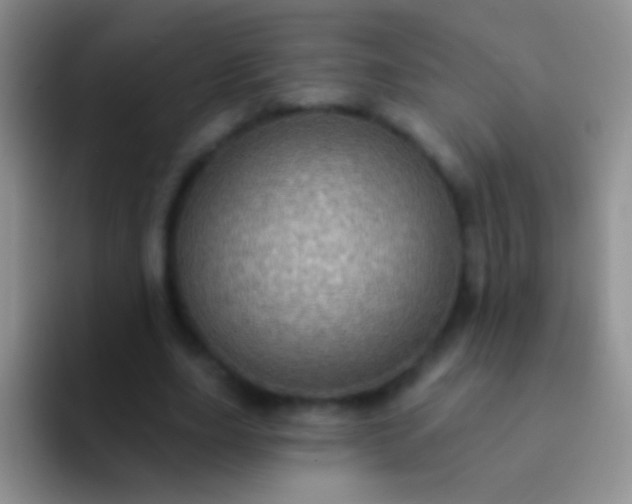 X0000092080631200709262105