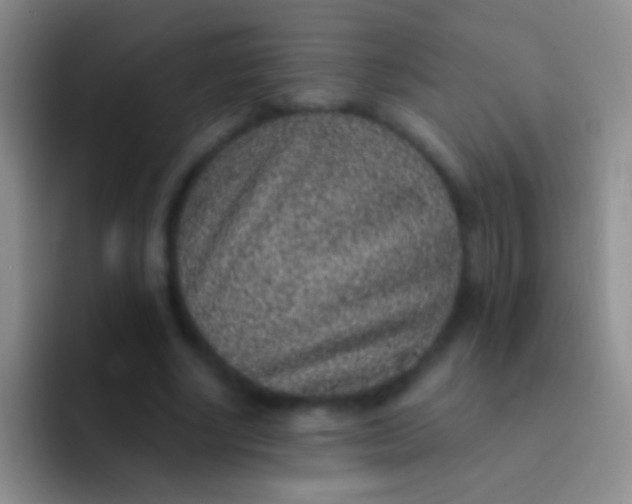 X0000092080634200709262105