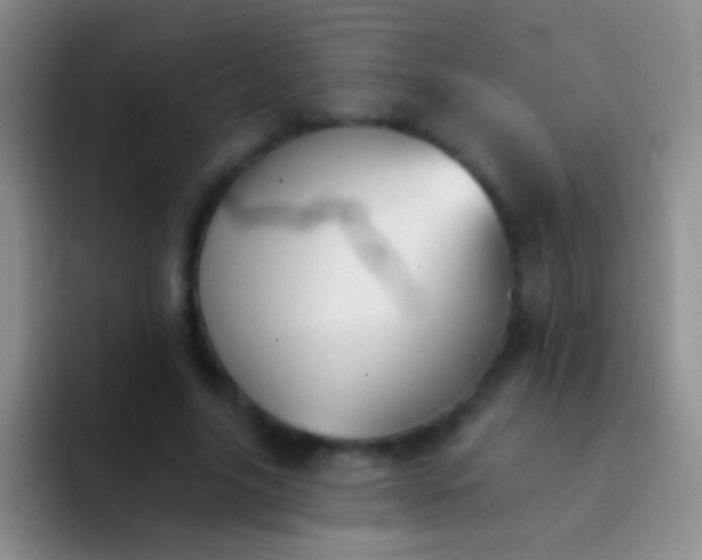 X0000092080635200709262105